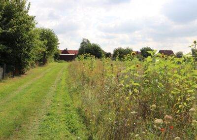 Baugrundstück in Hessisch Oldendorf OT Welsede